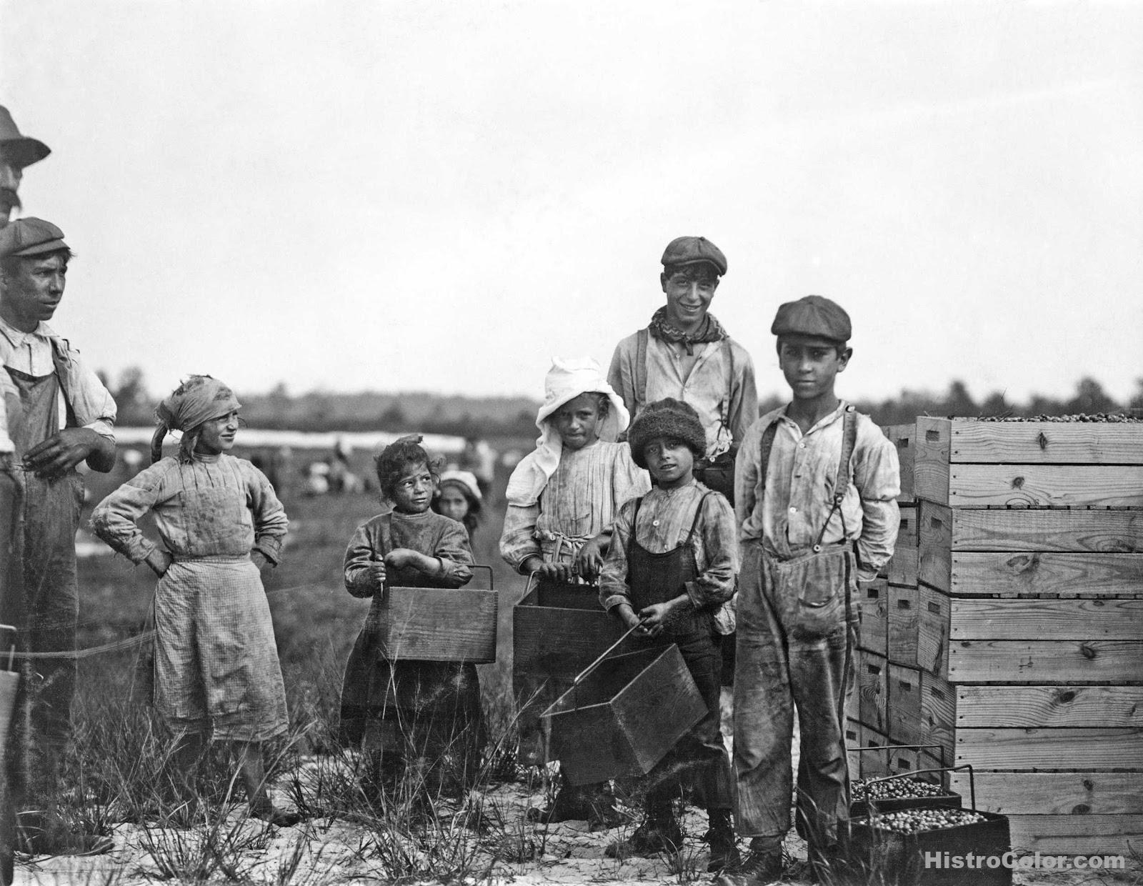 Children Picking Fruit