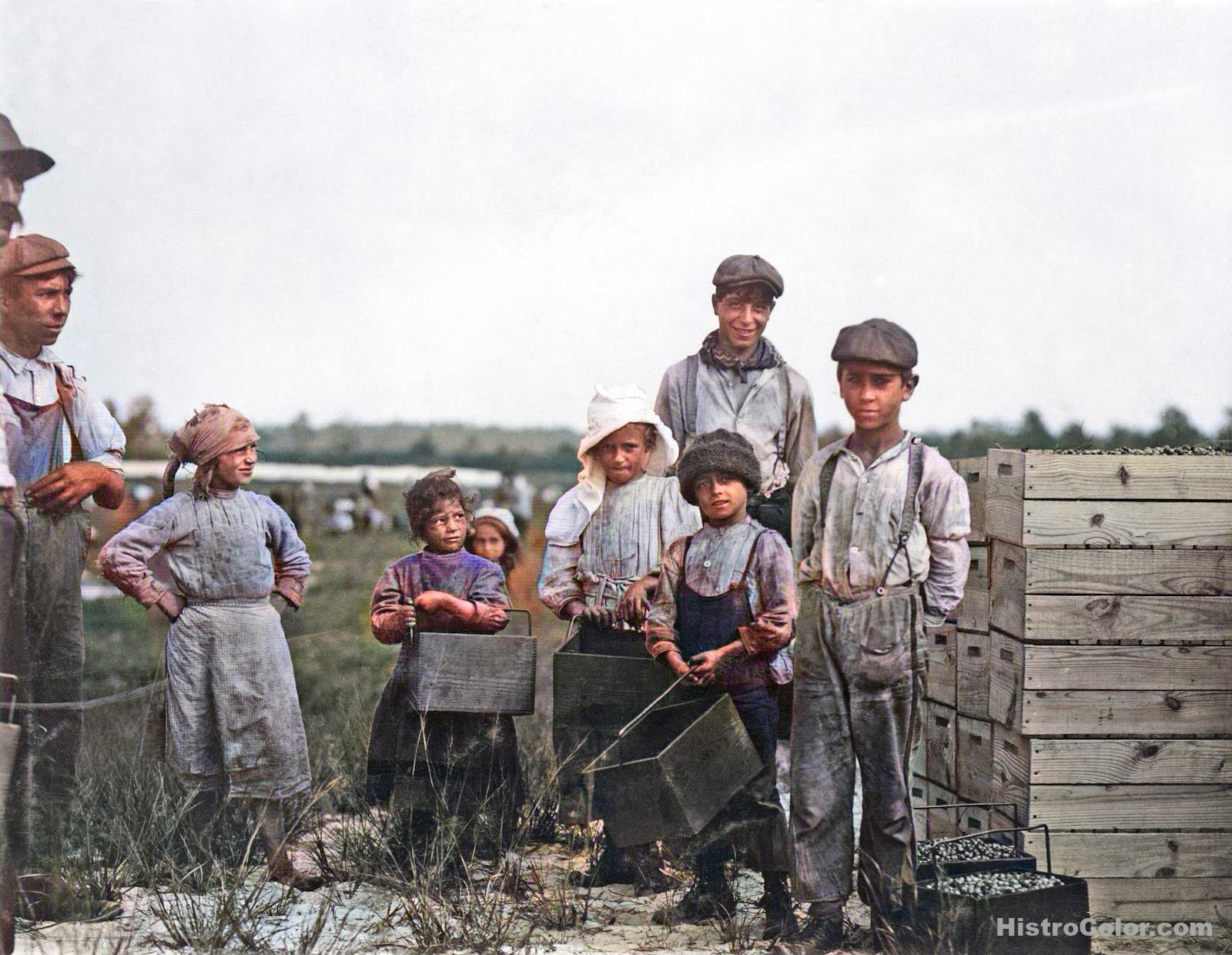 Children Picking Fruit