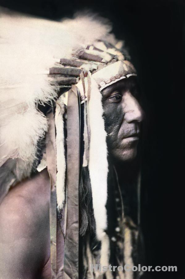 Crow Indian Man In Head Dress